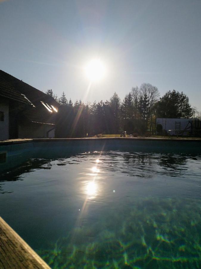 Camping & Guest House Pliskovice Mirovice ภายนอก รูปภาพ