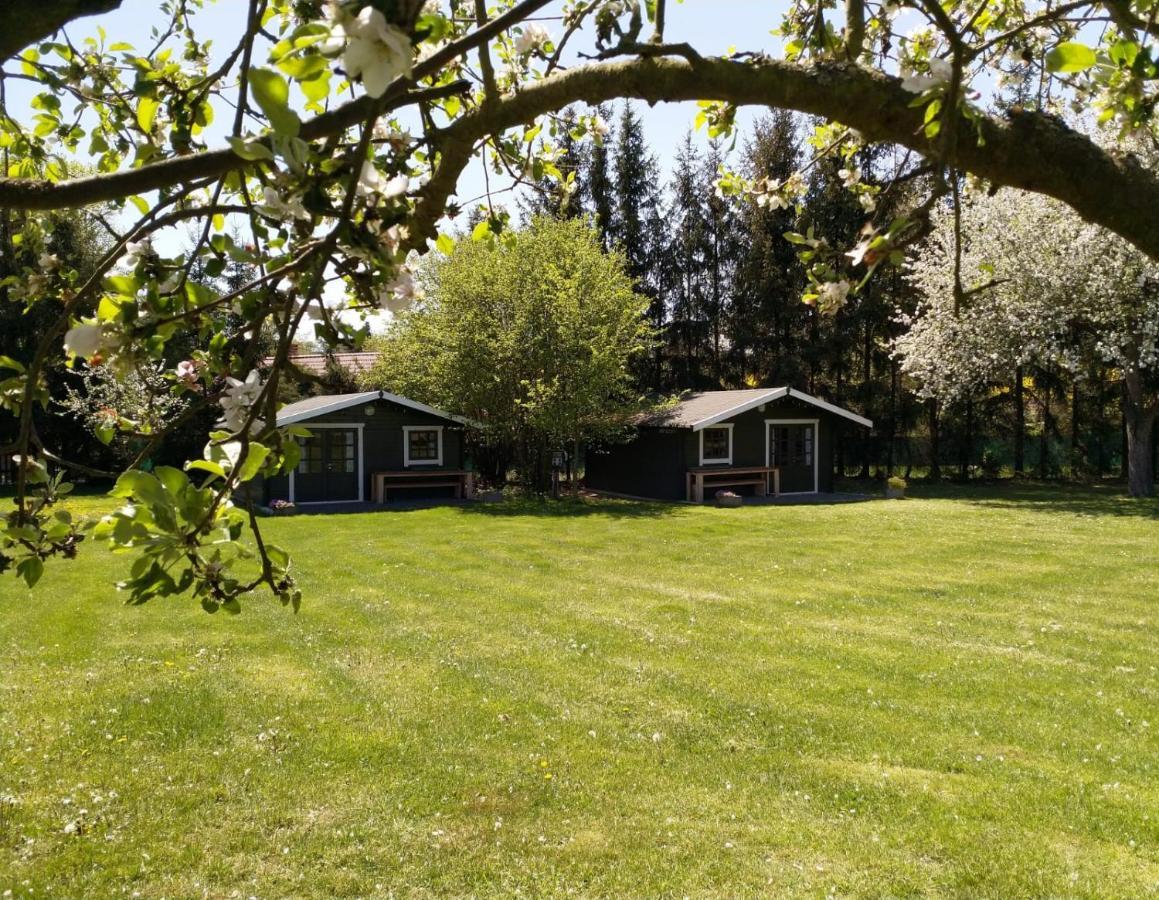 Camping & Guest House Pliskovice Mirovice ภายนอก รูปภาพ